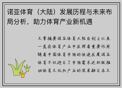 诺亚体育（大陆）发展历程与未来布局分析，助力体育产业新机遇